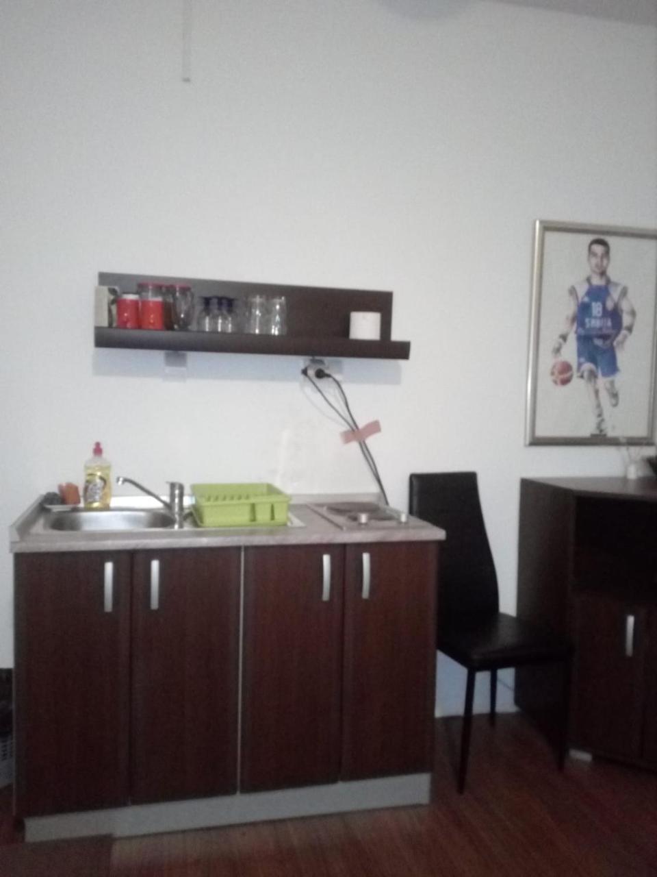Apartment Viktor Stan Na Dan Шабац Екстер'єр фото